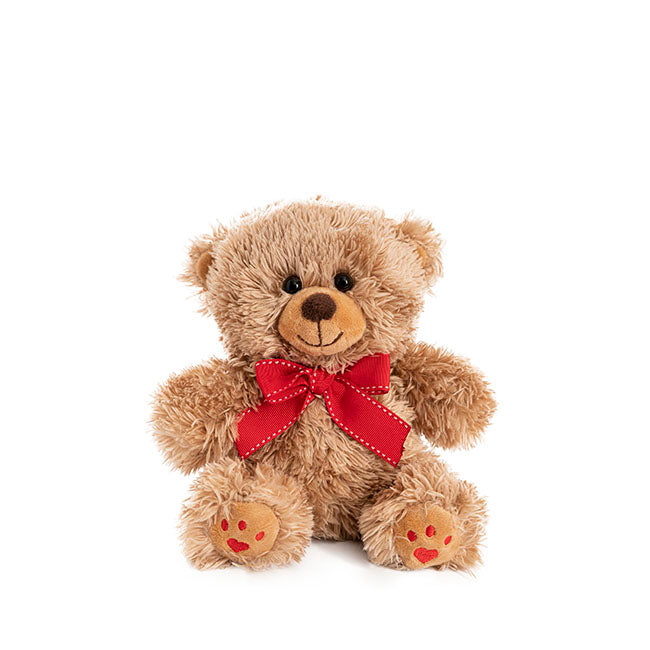 Aiden Bear with Red Bow Brown (20cmST)