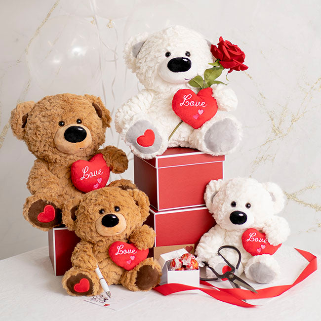 James Bear with Red Heart Brown (24cmST)