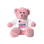 Birth Details Georgie Teddy Bear 